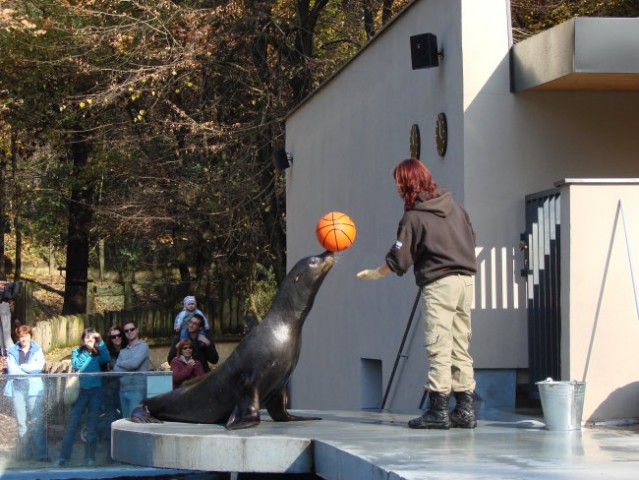 Živalski vrt Oktober 2007 - foto
