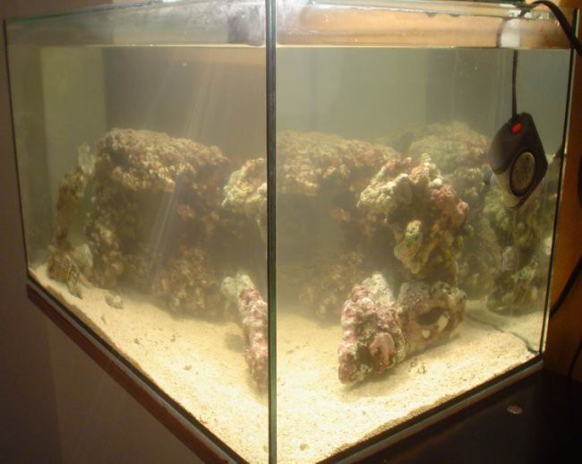 Moj akvarij - začetna postavitev - foto povečava