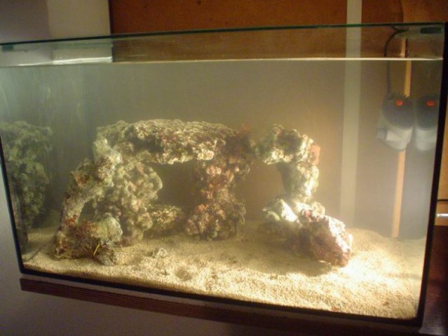 Moj akvarij - začetna postavitev - foto