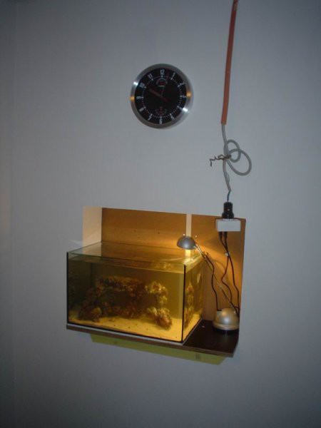Akvarij v luknji -prve dni sem osvetljeval le z namizno svetilko