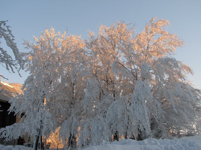 Drugo - foto povečava