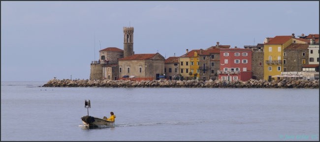 Ostalo - foto povečava